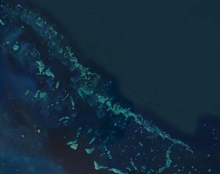 Des récifs de la Grande Barrière de corail dans les eaux australiennes