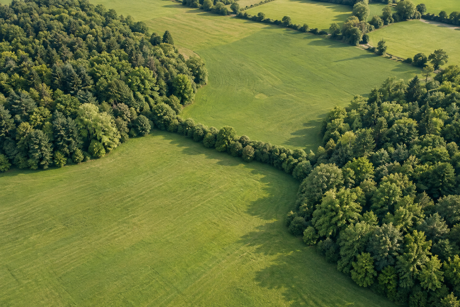 Illustration de deux zones boisées reliées par une haie
